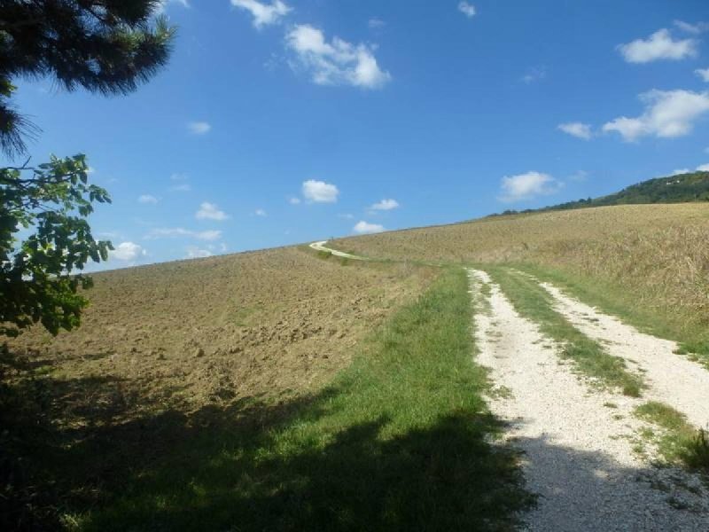 Agricultural land in San Severino Marche