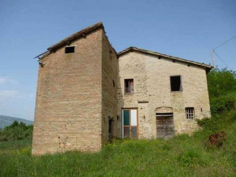 Lantställe i San Severino Marche