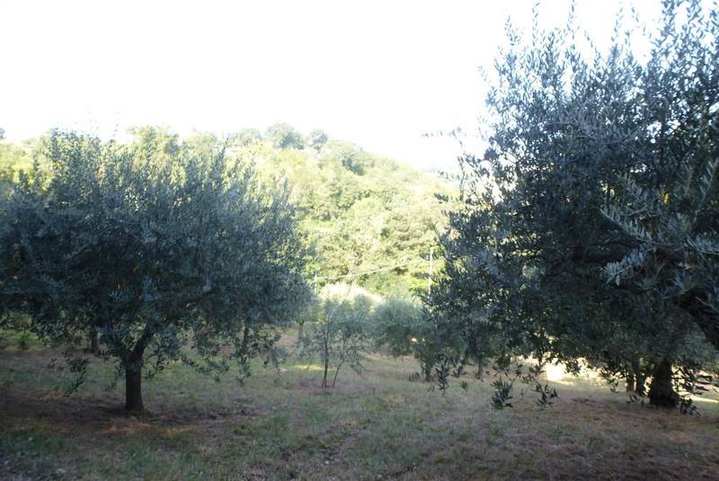 Landbouwgrond in San Severino Marche