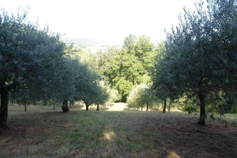 Landbouwgrond in San Severino Marche