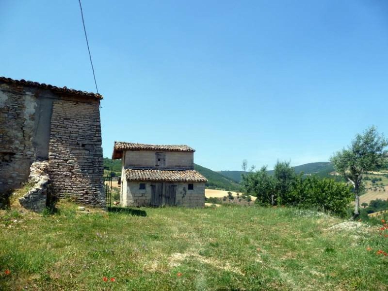 Lantställe i San Severino Marche