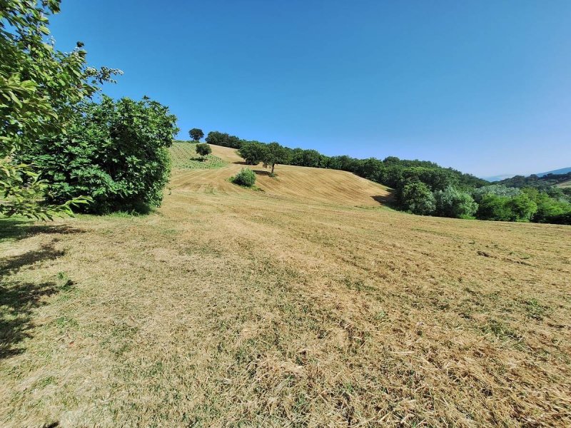 Terrain agricole à San Severino Marche