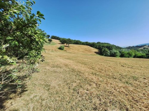 Terrain agricole à San Severino Marche