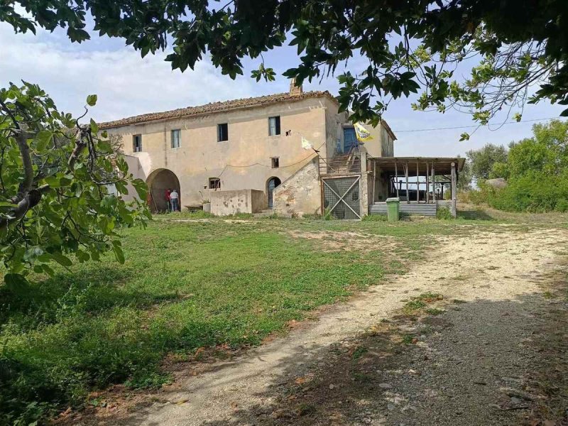 Lantställe i Massignano