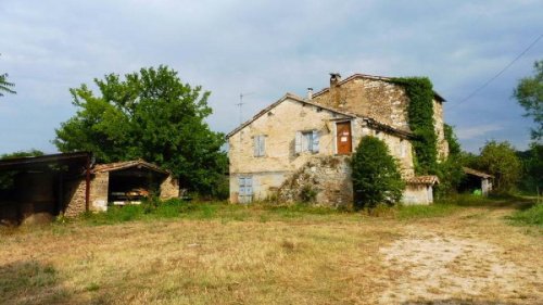 圣塞韦里诺-马尔凯农业公司