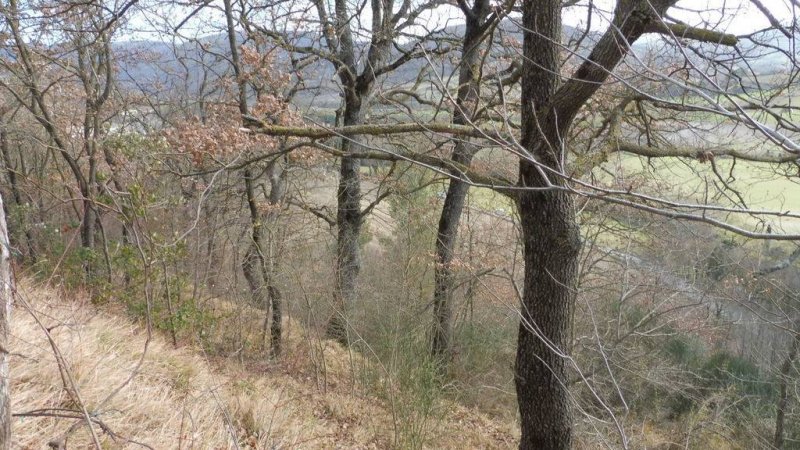 Terreno agrícola em Camerino
