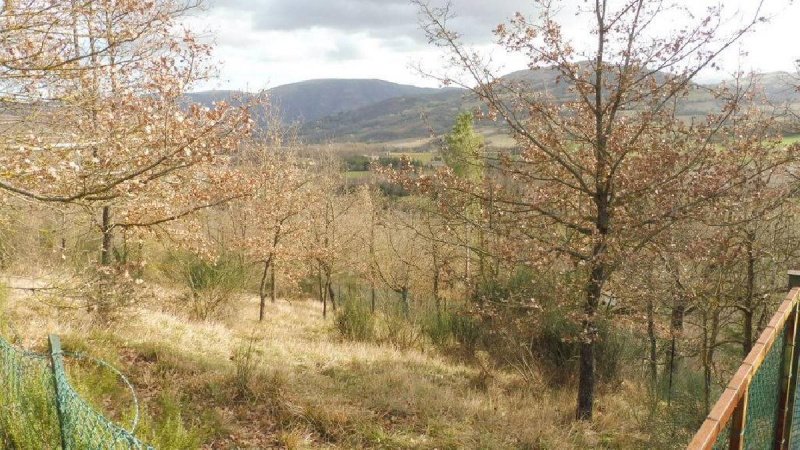 Terreno agrícola em Camerino