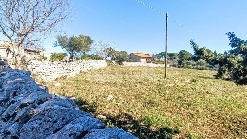 House in Modica