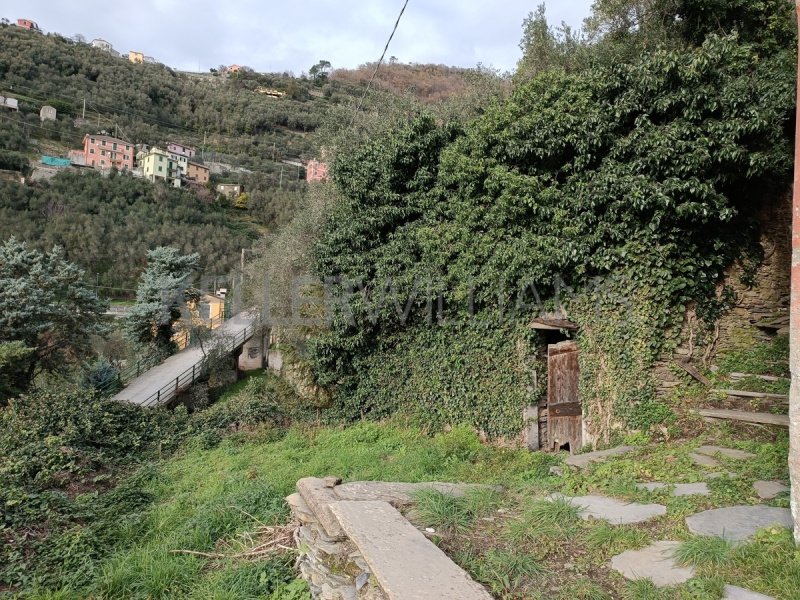 Top-to-bottom house in Cogorno