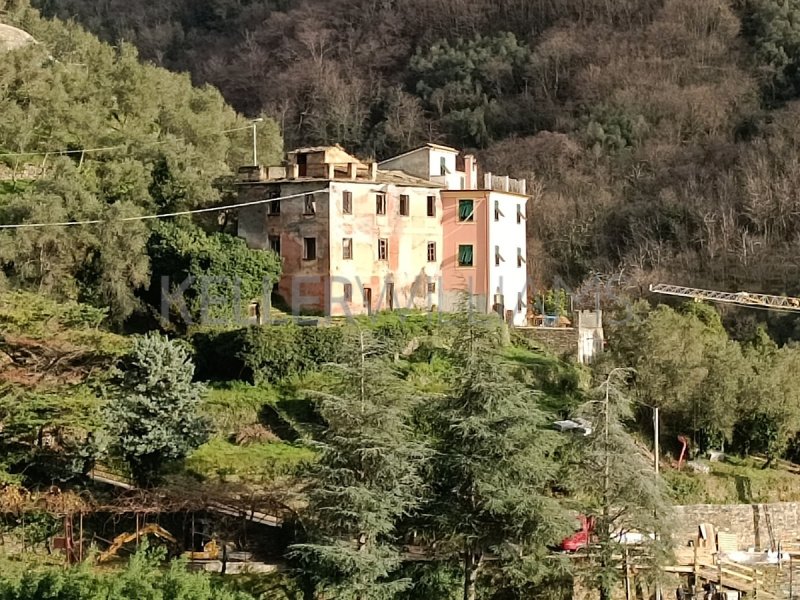 Top-to-bottom house in Cogorno