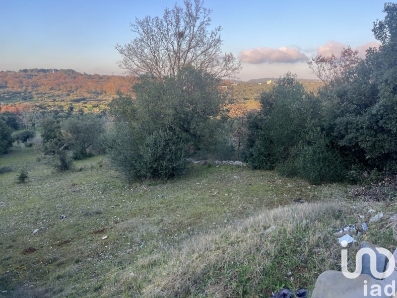 Сельскохозяйственный участок в Чистернино