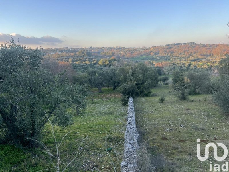 Сельскохозяйственный участок в Чистернино