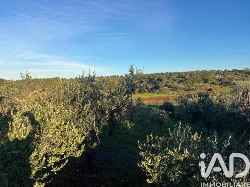 Jordbruksmark i Ostuni