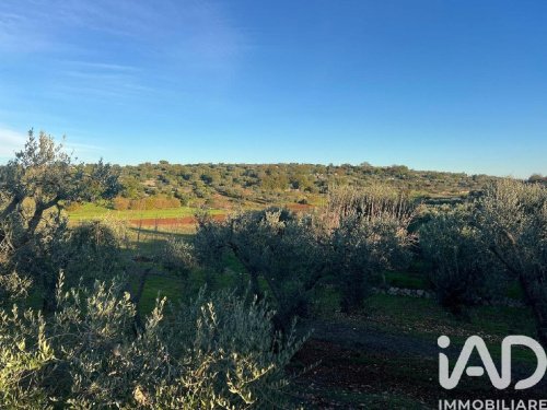 Jordbruksmark i Ostuni