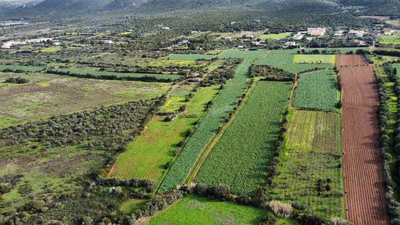 Landbouwgrond in Sant'Anna Arresi