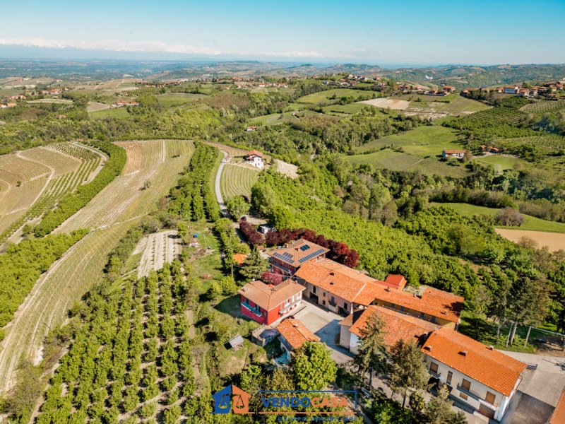 Urlaub auf dem Bauernhof in Belvedere Langhe