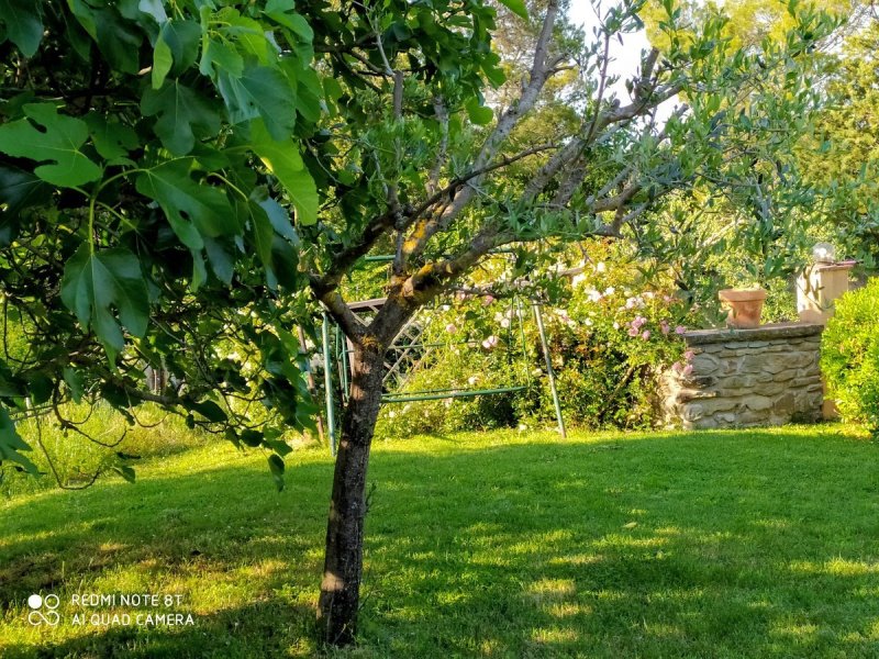 Country house in Sant'Angelo in Vado