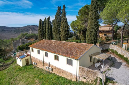 Farm in Suvereto