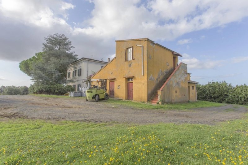 Exploitation agricole à Casale Marittimo