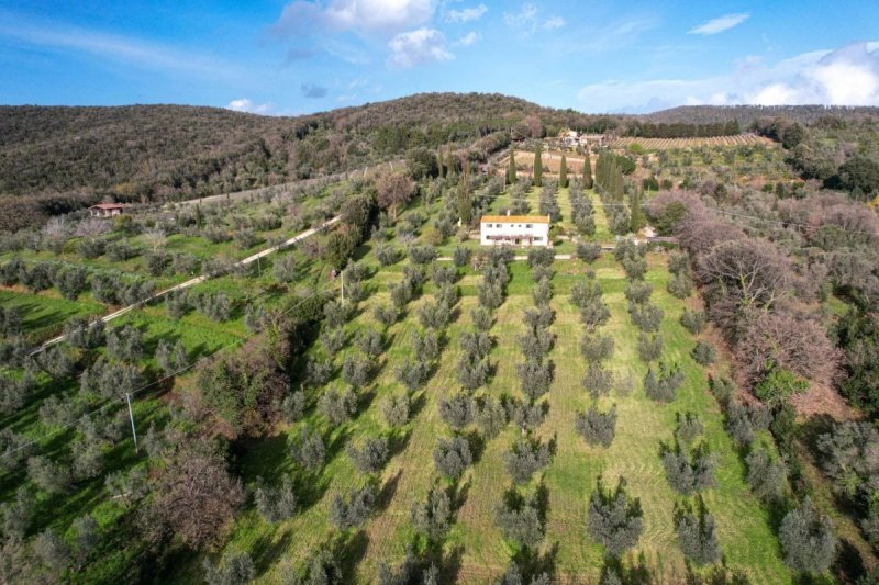 Отдельно стоящий дом в Кастаньето-Кардуччи