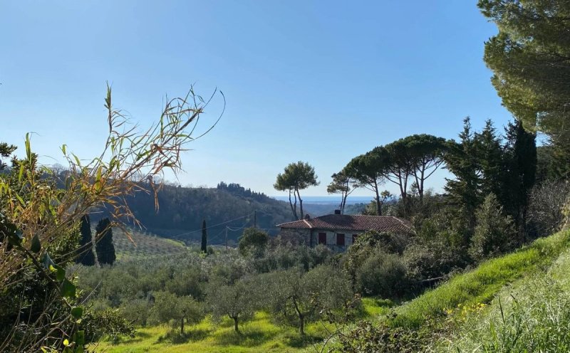 蒙特斯库达约别墅