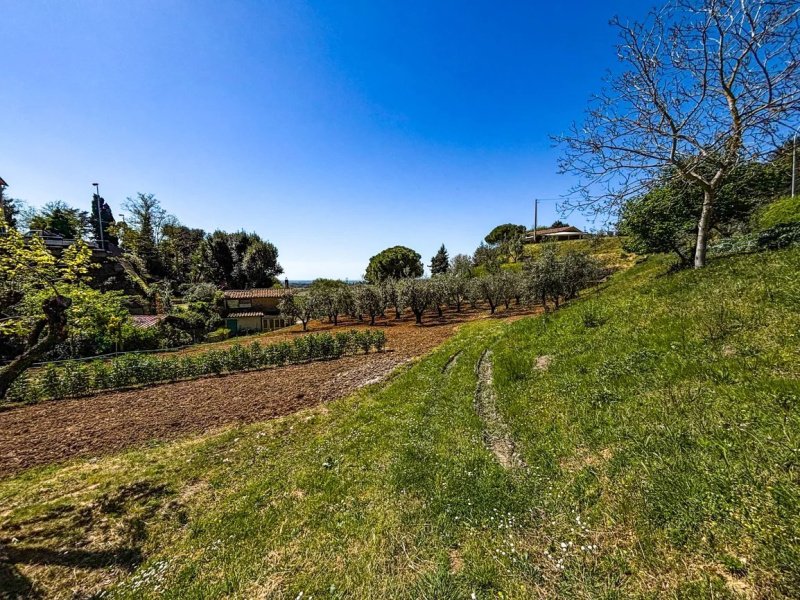 Terreno edificable en Casale Marittimo