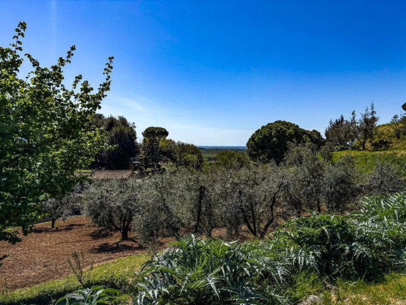 Byggtomt i Casale Marittimo