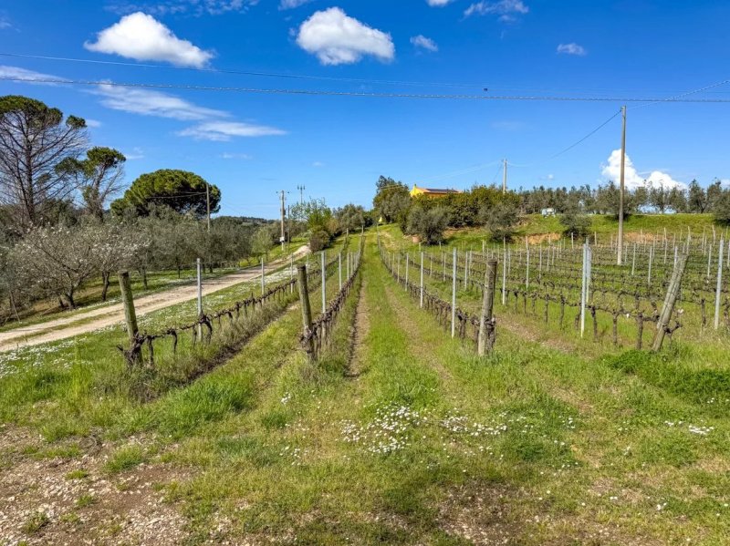 Вилла в Кастаньето-Кардуччи