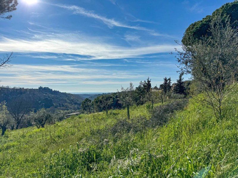 Villa a Montescudaio