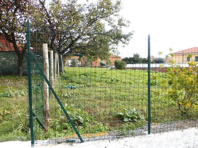 Building plot in San Bartolomeo al Mare