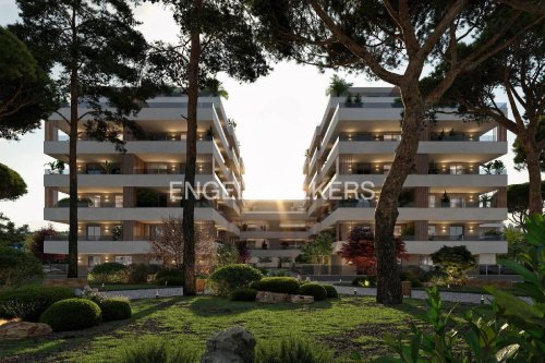 Коммерческая недвижимость в Джулианова