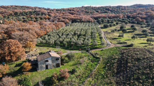 Klein huisje op het platteland in Cinigiano