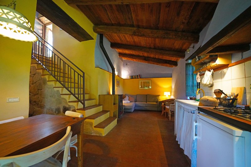 Country house in Santa Fiora