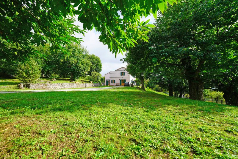 Klein huisje op het platteland in Santa Fiora