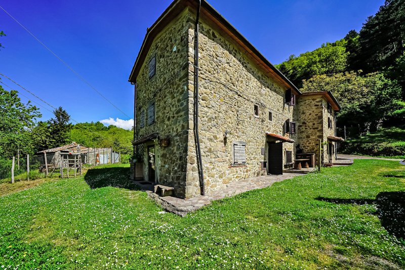 Casa indipendente a Santa Fiora