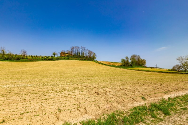 Doppelhaushälfte in Calliano