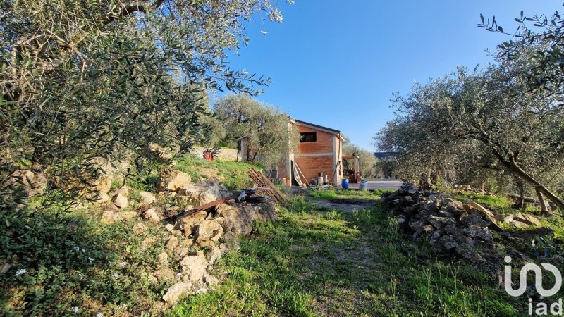 House in Diano Marina