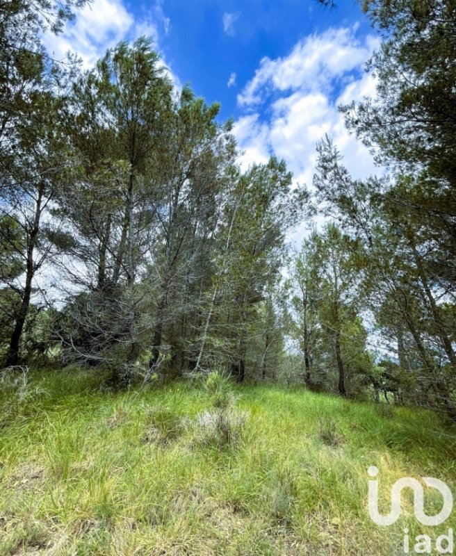 Terreno para construção em Cipressa