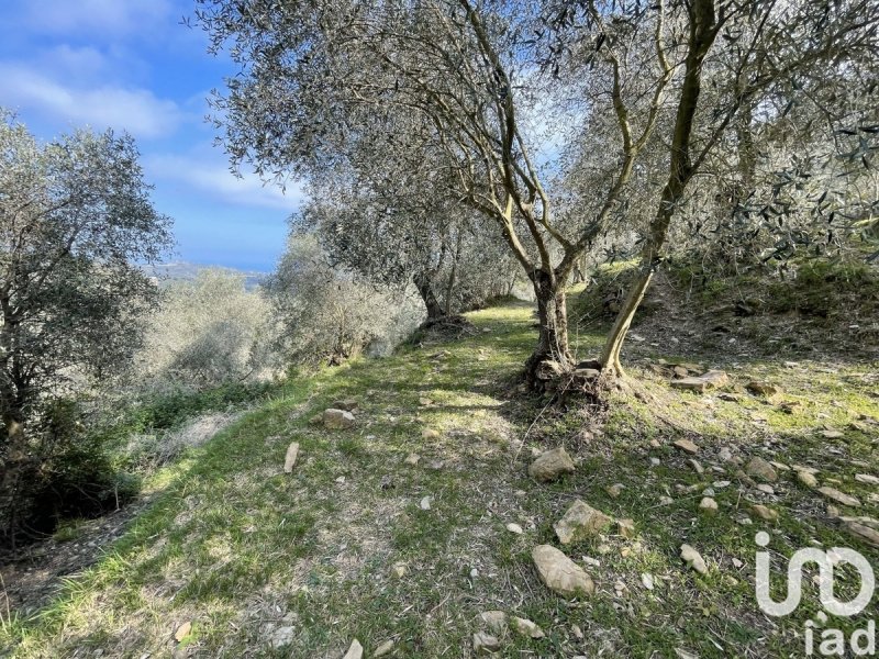Bouwgrond in Cipressa