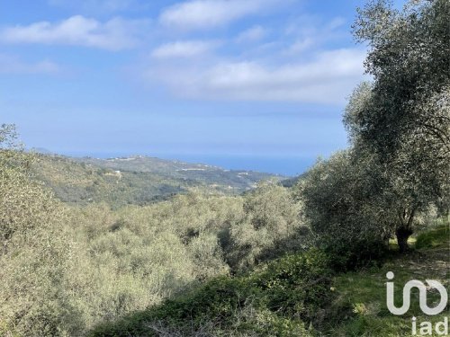 Bouwgrond in Cipressa