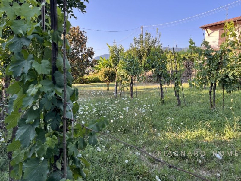 菲拉蒂耶拉半独立房屋