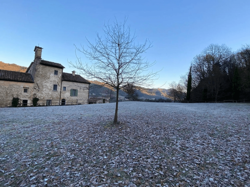 Klein huisje op het platteland in Brisighella