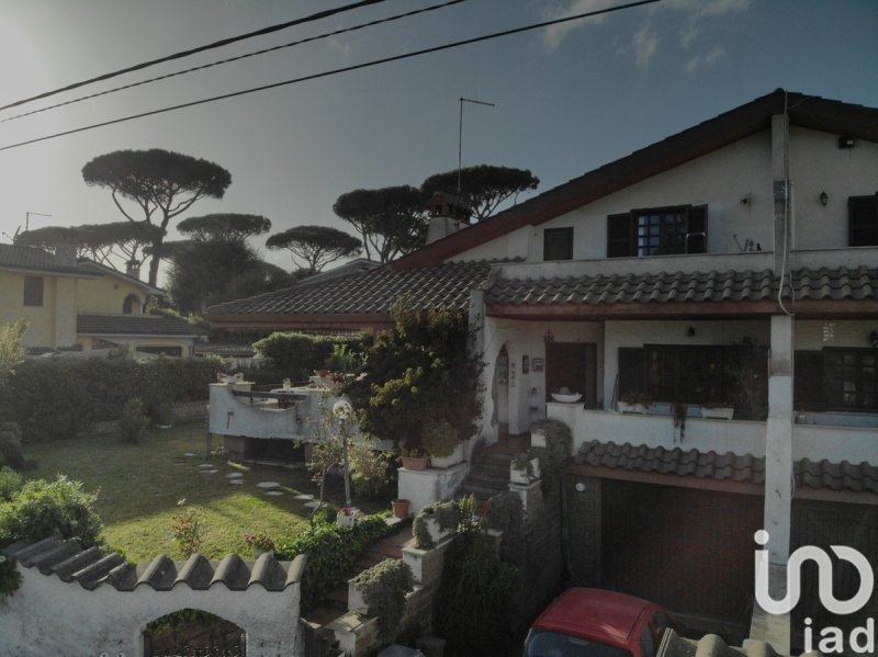 House in Anzio