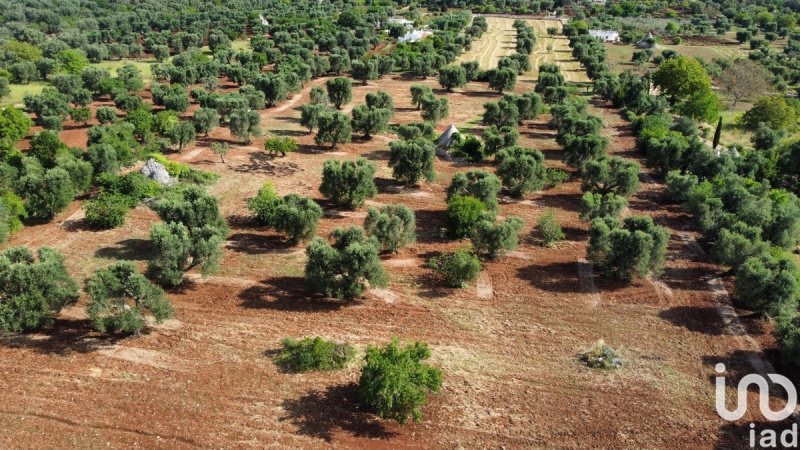 Trullo i Ceglie Messapica