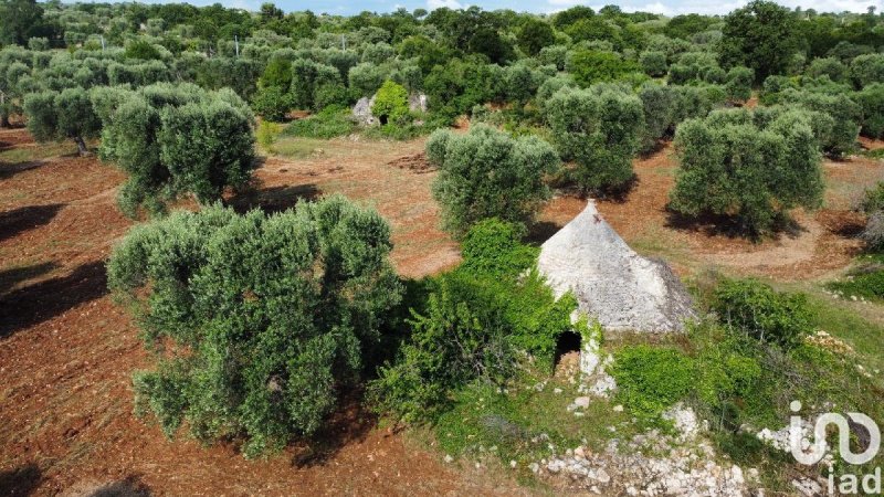 Trullo a Ceglie Messapica