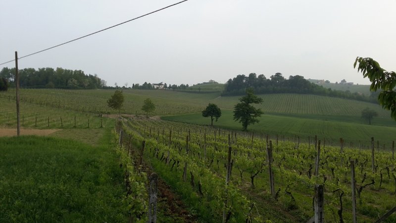 Quinta agrícola em Nizza Monferrato