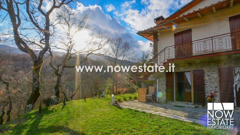 Lantställe i Caprese Michelangelo