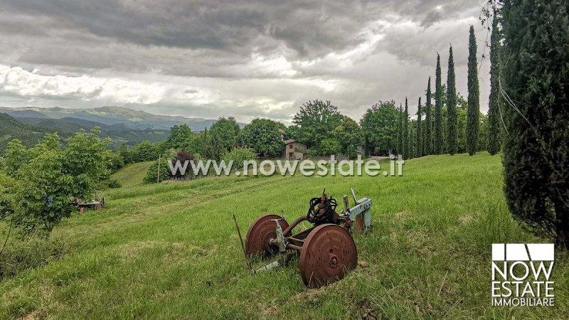 Villa i Caprese Michelangelo