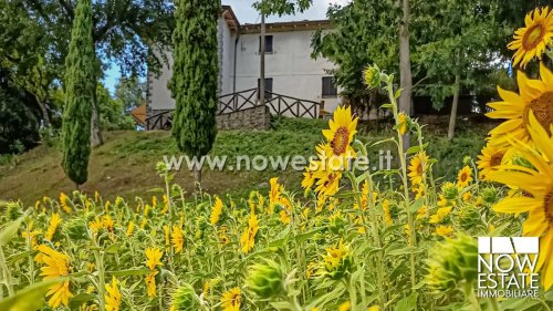 Maison individuelle à Caprese Michelangelo