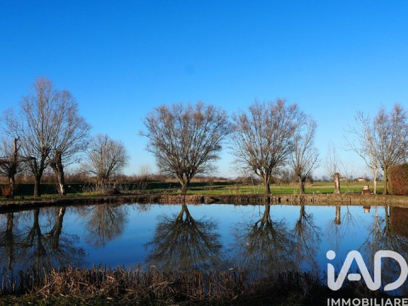 Landbouwgrond in Novi di Modena